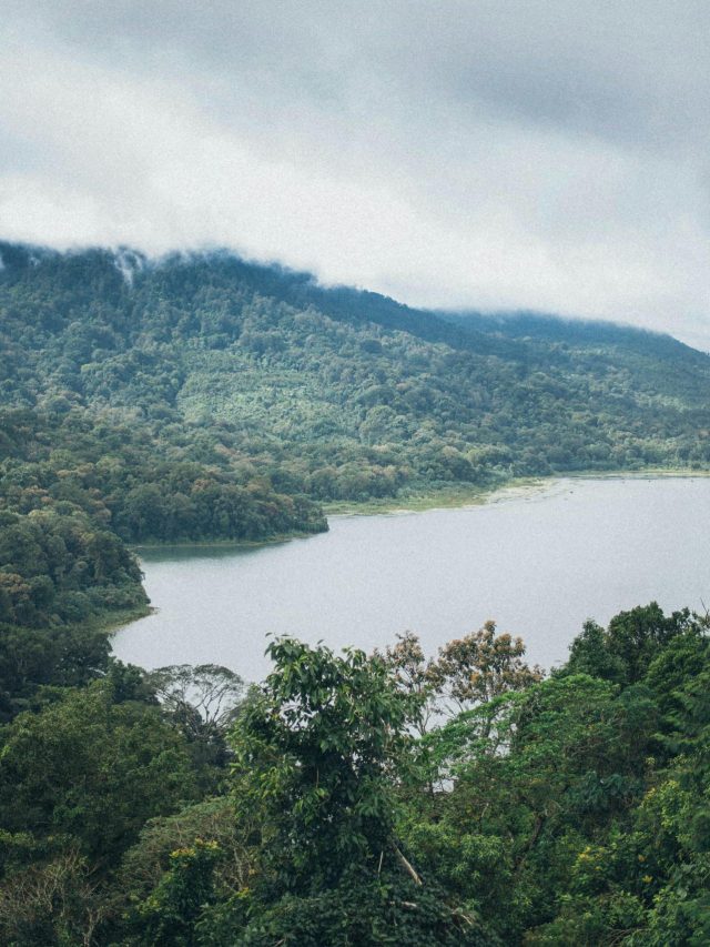 As Maravilhas da Amazônia